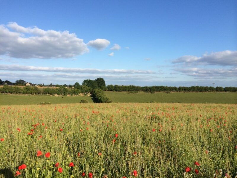 from-oxford-cotswolds-towns-and-villages-small-group-tour