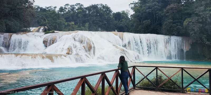 from-palenque-misol-ha-agua-azul-waterfalls-day-tour