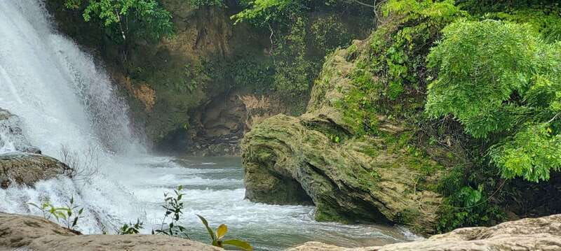 from-palenque-palenque-and-roberto-barrios-waterfalls-tour
