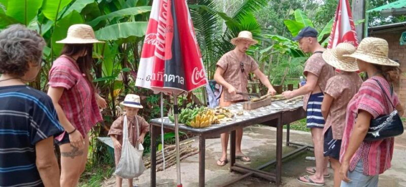 from-phuket-ethical-elephant-interactive-trek-and-tour