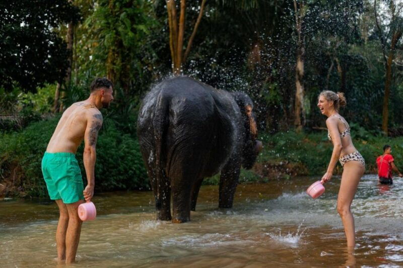 from-phuket-khao-lak-elephant-sanctuary-full-day-tour