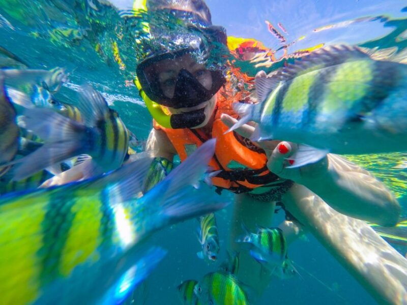 from-phuket-phi-phi-and-maya-bay-snorkeling-by-speedboat