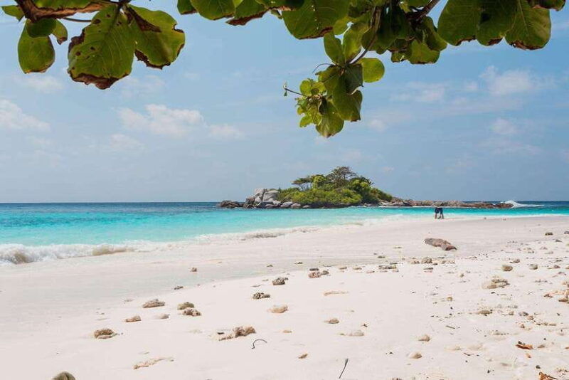 from-phuket-racha-maiton-island-dolphin-expedition