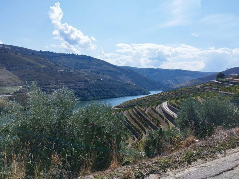 from-pinhao-douro-valley-tour-w-wine-tasting-and-boat-trip