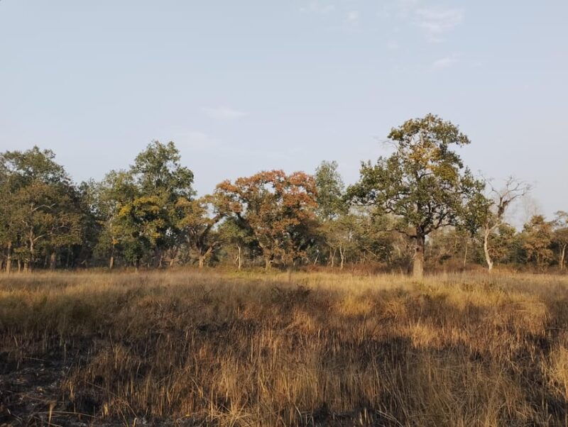 from-pokhara-3-day-2-night-wildlife-chitwan-tour-package