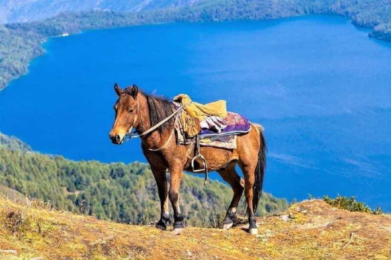 from-pokhara-unforgettable-horseback-riding-adventure