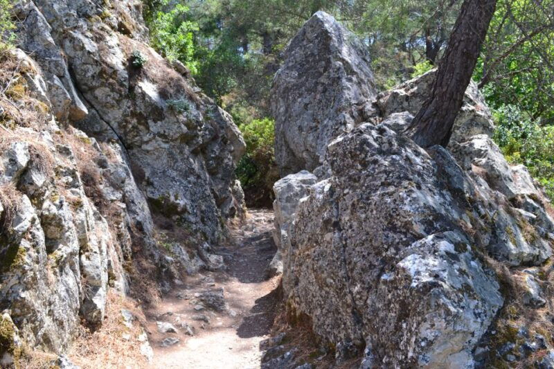 from-rhodes-lindos-and-7-springs-valley-bus-tour