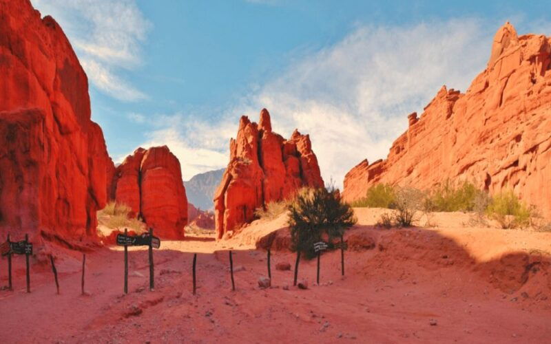 from-salta-full-day-excursions-through-cafayate-and-cachi