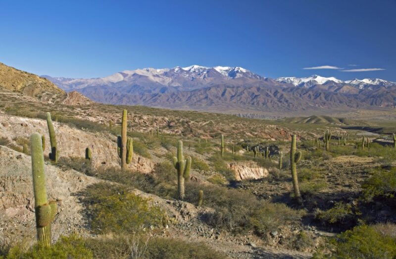 from-salta-full-day-scenic-tour-to-cachi