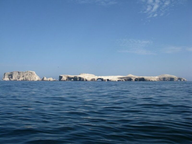 from-san-martin-port-ballestas-islands-tour-in-paracas