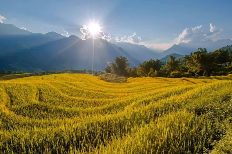 from-sapa-1-day-guided-trek-to-lao-chai-ta-van-with-lunch