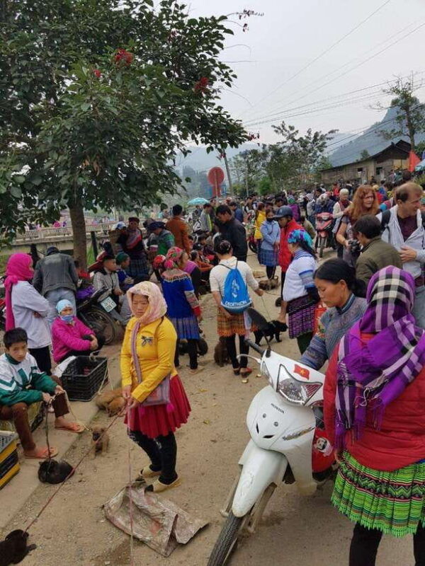 from-sapa-1d-local-bac-ha-sunday-market-tour-best-seller