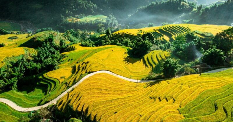 from-sapa-terrace-fields-and-local-villages-trek-with-lunch