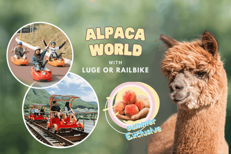 from-seoul-alpaca-farm-with-rail-bike-luge-racing
