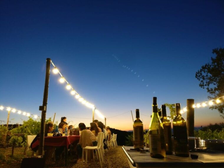 from-siena-chianti-dinner-drinks-in-the-chianti-vineyards
