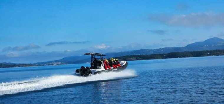 from-stavanger-lysefjord-sightseeing-rib-boat-tour-2