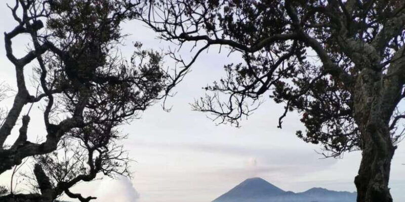 from-surabaya-malang-bromo-midnight-tour-12-hours