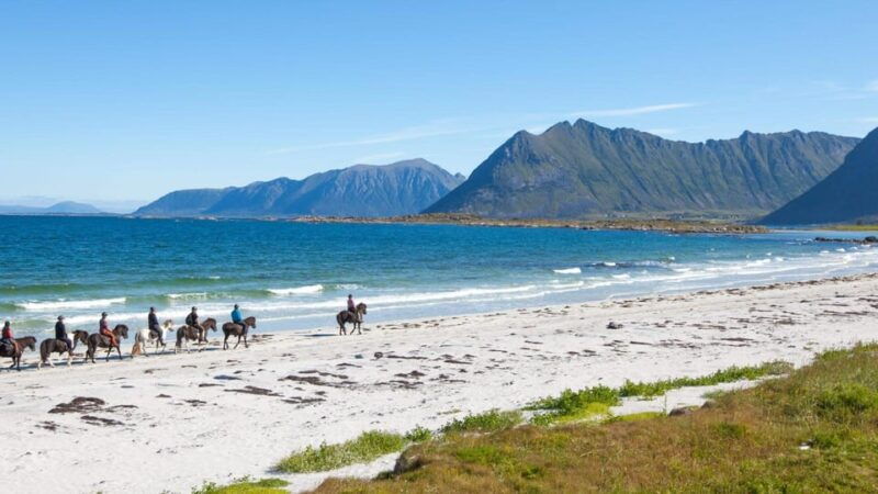 from-svolvaer-henningsvaer-lofoten-east-island-full-day-tour