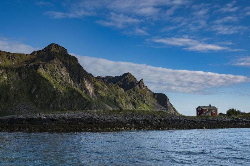 from-svolvaer-trollfjorden-wildlife-rib-cruise