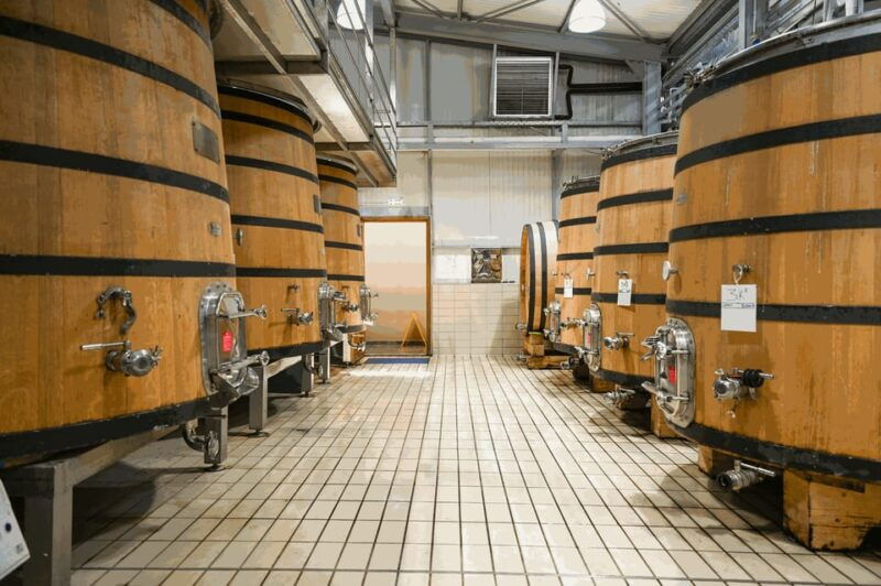 from-thessaloniki-pella-edessa-naousa-wine-tasting