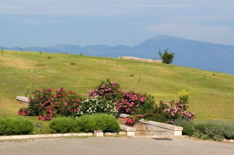 from-thessaloniki-vergina-veria-half-day-tour