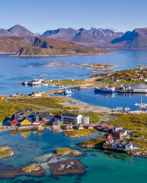 from-tromso-arctic-wildlife-fjord-sightseeing-tour-by-car