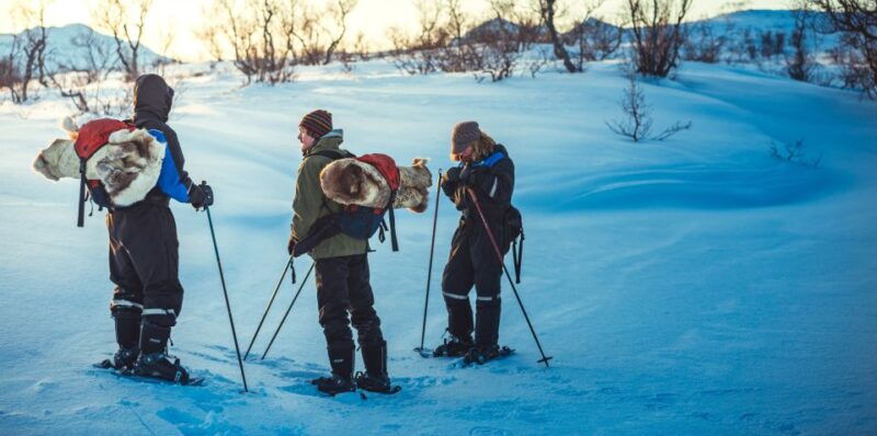 from-tromso-guided-husky-snowshoe-hike-and-husky-camp-visit