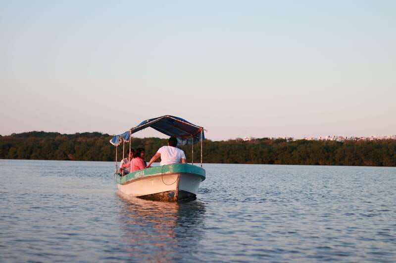 from-veracruz-nature-seafood-boat-tour-to-madinga