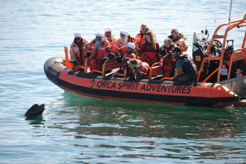 from-victoria-whale-watching-marine-wildlife-excursion
