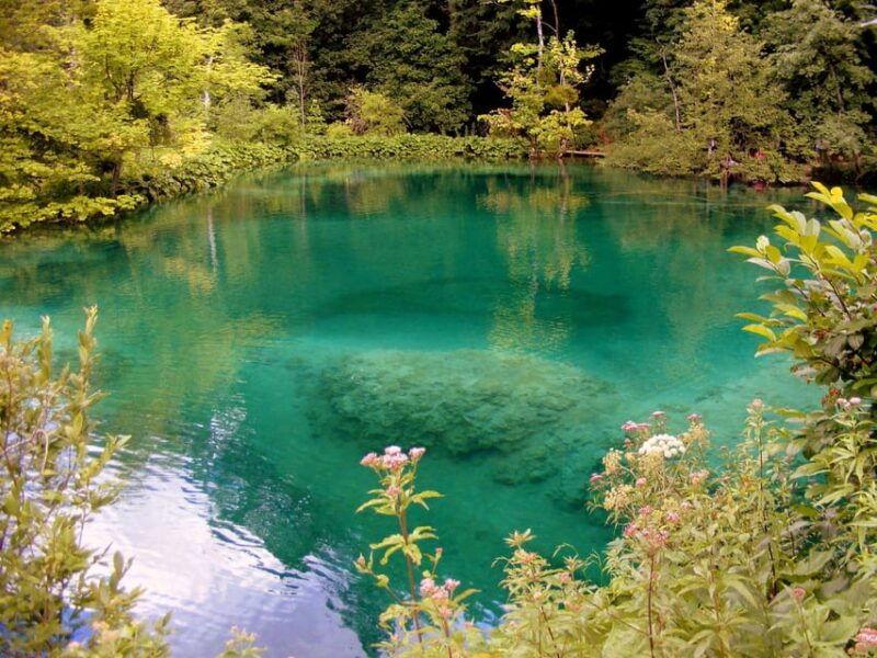 from-zagreb-or-split-plitvice-lakes-guided-tour-lunch