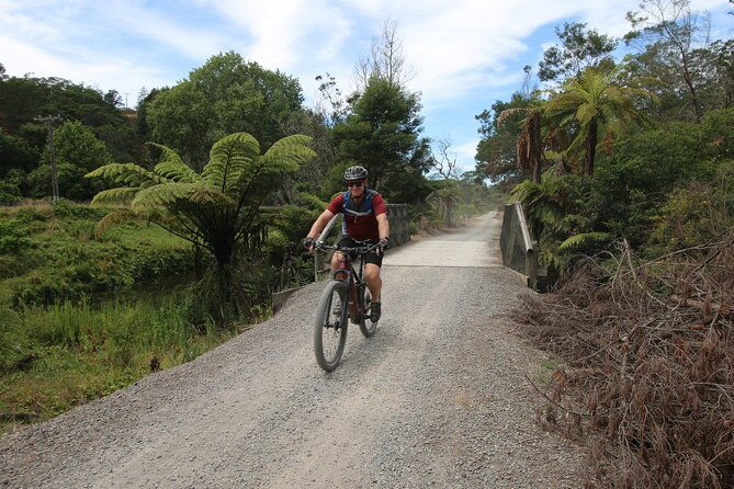 Full Day Ebike Tour in Karangahake Gorge (ex Auckland) - Final Thoughts