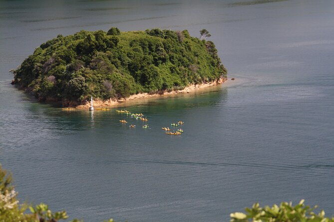 Full day Guided Sea Kayak Tour from Picton - Who Will Love This Tour?