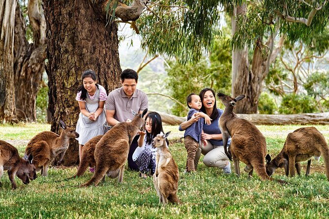 Full-Day Private Australian Wildlife Tour of Phillip Island - FAQ