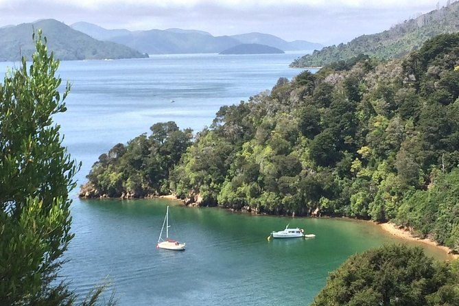 Full-Day Wine Gourmet and Scenic Delight Tour of Marlborough from Blenheim - Final Thoughts