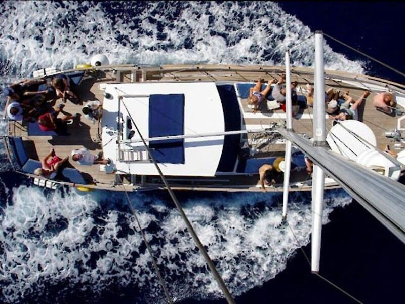 funchal-dolphin-and-whale-watching-sailing-trip