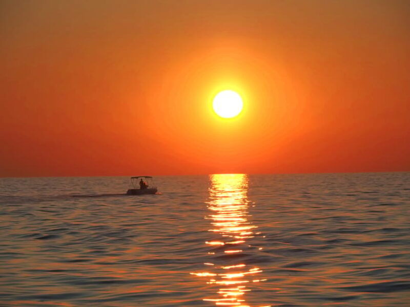 funtanavrsar-dolphin-watching-at-sunsetdrinks-included