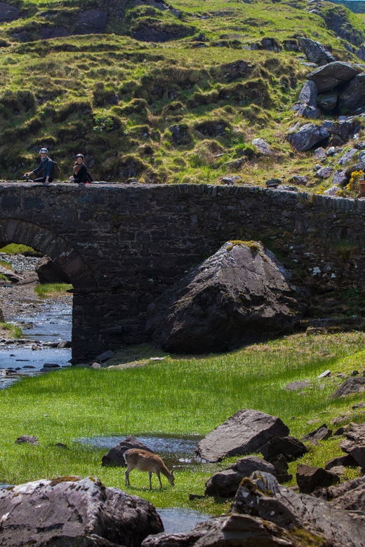 gap-of-dunloe-lakes-of-killlarney-boat-tour