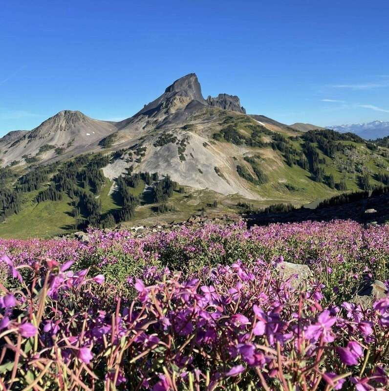 garibaldi-park-panorama-ridge-hiking-day-trip