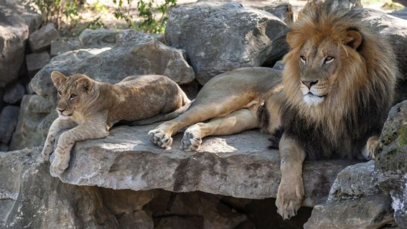 gdansk-oliwa-zoo-with-tickets-and-roundtrip-transportation