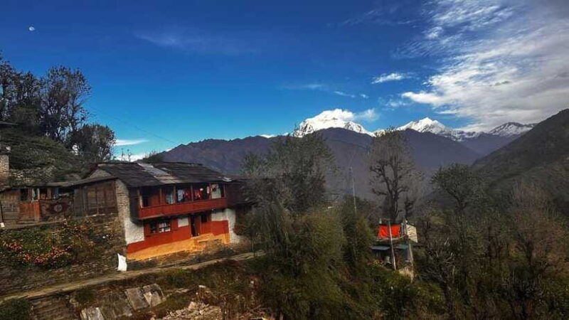 ghorepani-poon-hill-trek