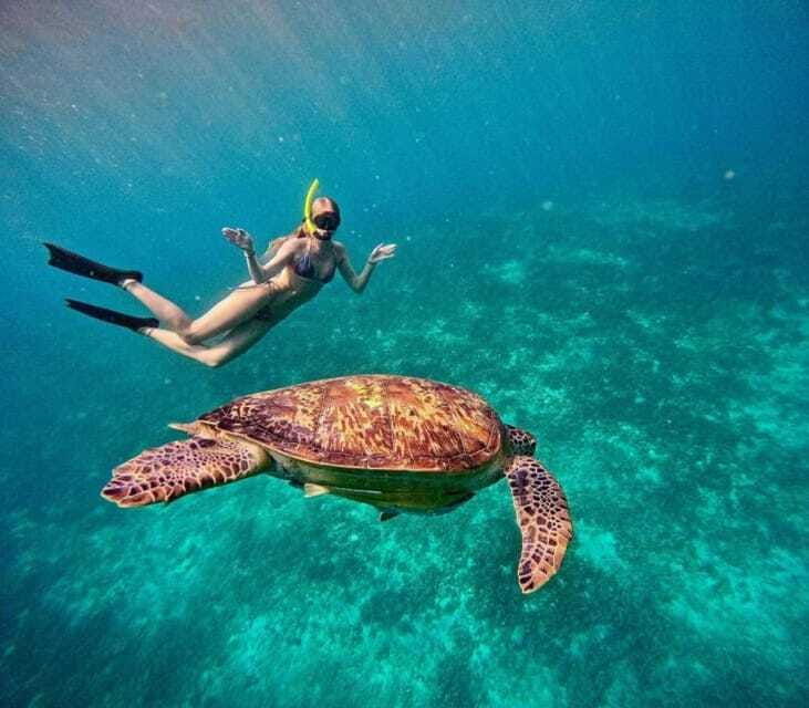 gili-air-snorkeling-3-gili-islands-with-shared-private-boat