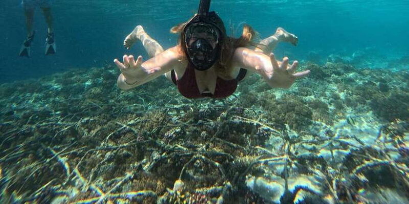 gili-island-snorkeling-gili-trawangan-meno-and-air