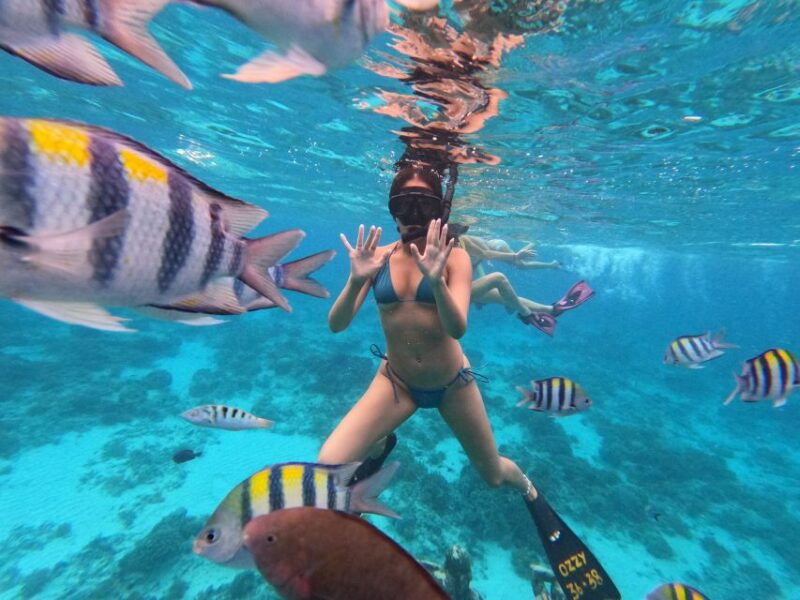 gili-islands-2-hour-snorkel-with-gopro-camera-guide