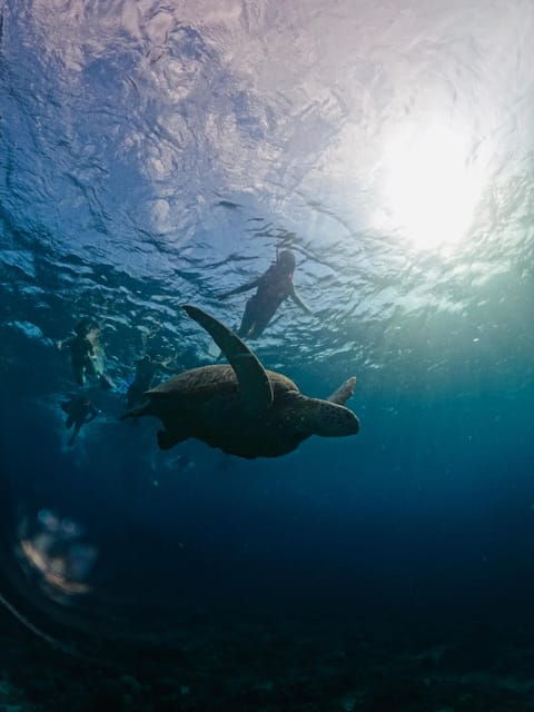 gili-islands-3-island-bbq-day-cruise-snorkeling-tour