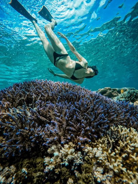 gili-islands-group-or-private-snorkeling-tour-with-gopro