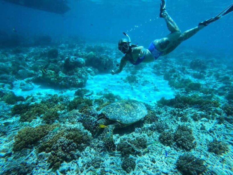 gili-islands-snorkeling-day-trip-with-private-speedboat