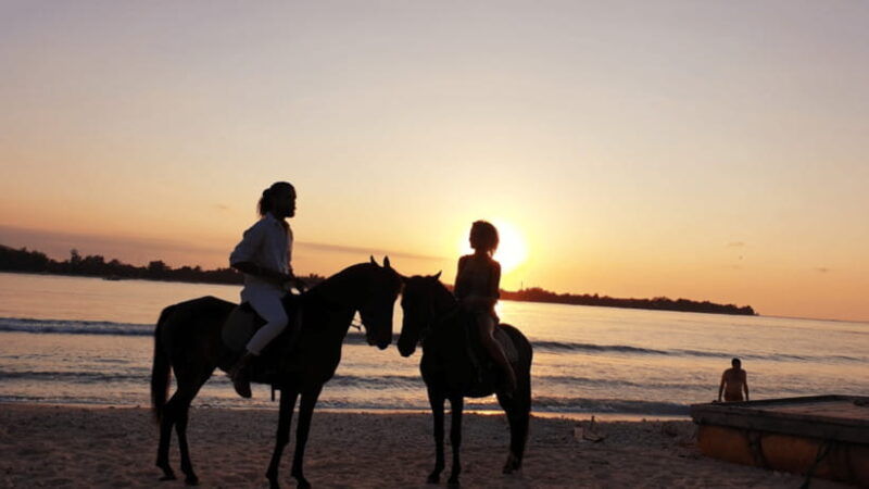 gili-meno-1-hour-horse-riding-adventure