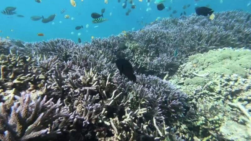 gili-trawangan-islands-hopping-snorkeling-trip