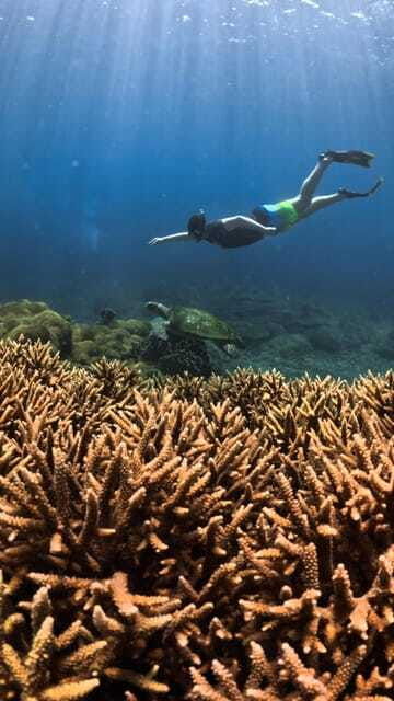 gili-trawangan-private-sharing-snorkeling-tour-3-gili