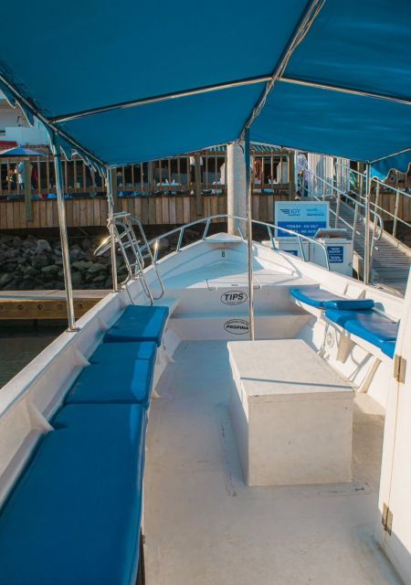 glass-bottom-boat-whale-watching